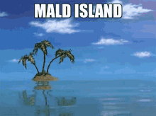 Mald Island GIF - Mald Island Mald Island GIFs