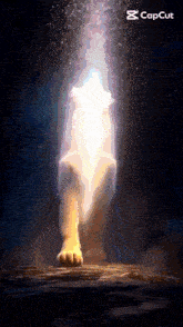 a picture of a lion 's paw with a light coming out of its paw