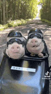 Pig Bike GIF