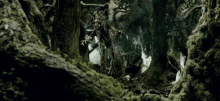 Forest Creature GIF
