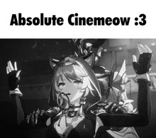 a black and white image with the words absolute cinemeow : 3