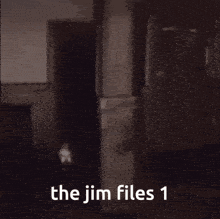 a blurred image with the words " the jim files 1 "