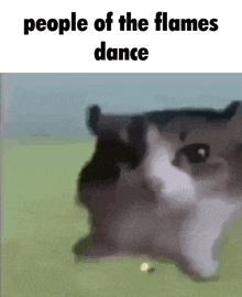a cat is dancing in a field with the words `` people of the flames dance '' written above it .