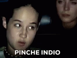 Pinche Indio Naco