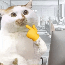 a cat is giving a thumbs up with a yellow glove