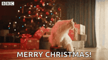a cat is sitting on a remote control in front of a christmas tree and gifts .