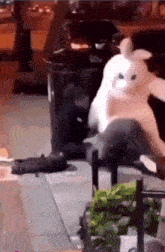 a white cat is sitting on a bench next to a trash can on the sidewalk .