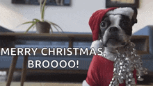 Dog Santa Claus GIF - Dog Santa Claus Christmas GIFs