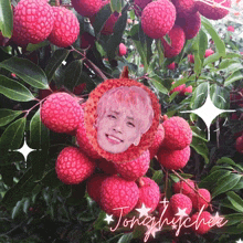 a picture of a person 's face in a bunch of lychees with the name tonghuchee