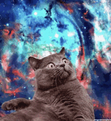 GIF