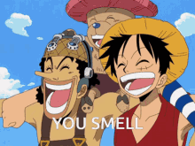 Smell Onepiece GIF - Smell Onepiece GIFs