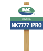 Nk7777ipro Sojacerta Sticker - Nk7777ipro Sojacerta Rentabilidade Stickers