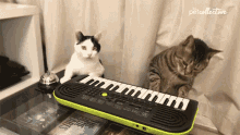 playing music keyboard cat embarrassed bad