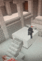 a screenshot of a minecraft game with lowjayy 28
