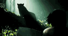 Panther Jungle GIF - Panther Jungle Lara Croft Tomb Raider GIFs