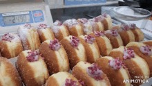 a bunch of donuts are sitting on a table with a digital scale behind them that says -249.0