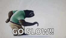 Sloth Walking Slow GIF