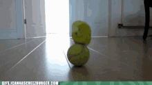 Bird Balance GIF - Bird Balance Tennisball GIFs