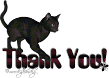 black cat sparkles thank you sparkling cat