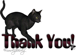 Black Cat Sparkles Sticker - Black Cat Sparkles Thank You Stickers
