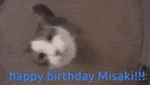 Happy Birthday Misaki GIF - Happy Birthday Misaki GIFs