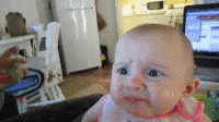 Baby Infant GIF - Baby Infant Toddler GIFs