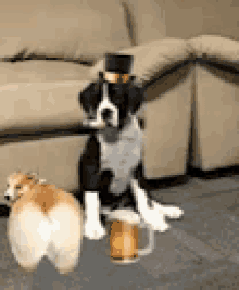 Dog Twerking GIF - Dog Twerking Beer GIFs