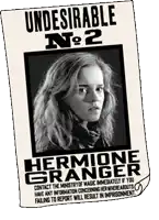 a wanted poster for hermione granger with a picture of her