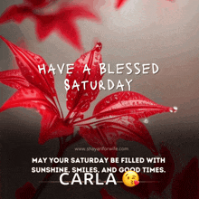 a poster that says have a blessed saturday on it