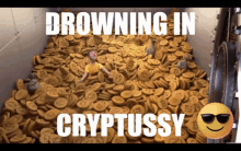 cryptussy cryptoland scam crypto cryptocurrency