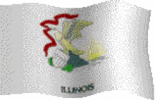 Illinois Flag GIF - Illinois Flag GIFs