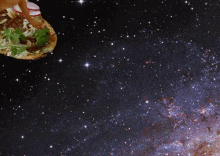 Taco In Space GIF