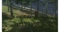 a blurry picture of a person walking a dog in a field .