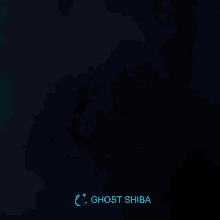 Ghost Shiba GIF - Ghost Shiba GIFs