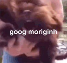 Dog Scream GIF - Dog Scream Good Morning GIFs
