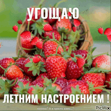 клубника летнее настроение GIF