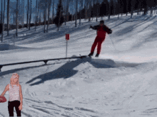 Ski Skiing GIF - Ski Skiing Snow GIFs
