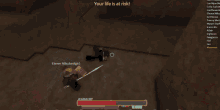 a screenshot of a video game with the words " your life is at risk "