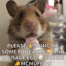 a hamster asking for pancakes sausage egg cheese and mcmuffins