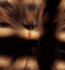 a close up of a person 's face with a blurry background