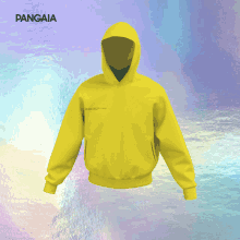 a blue hoodie with the word pangaia on the top