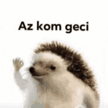 Az Kom Geci Geci GIF - Az Kom Geci Geci Kom GIFs