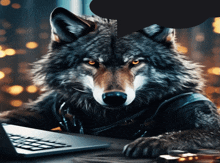 a wolf sitting at a desk with a laptop