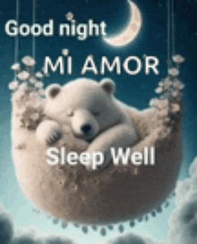 a polar bear is sleeping on a moon with the words `` good night mi amor sleep well '' .