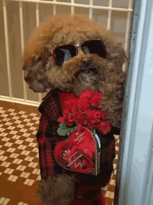Pet Lover GIF - Pet Lover Date GIFs