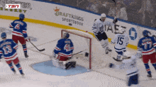Toronto Maple Leafs Timothy Liljegren GIF - Toronto Maple Leafs Timothy Liljegren Leafs GIFs