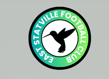 Itzkevy Statville Premier League GIF - Itzkevy Statville Premier League East Statville Fc GIFs