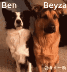 Beyzaaa GIF - Beyzaaa GIFs