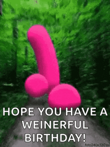 a pink penis is walking down a path with the words `` hope you have a weinerful birthday ! ''