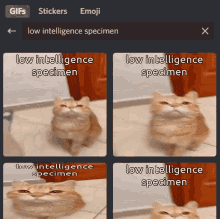 Low Intelligence Specimen GIF - Low Intelligence Specimen GIFs